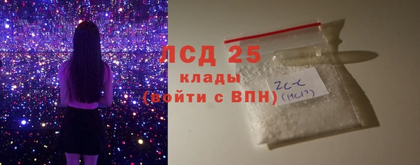 индика Лихославль